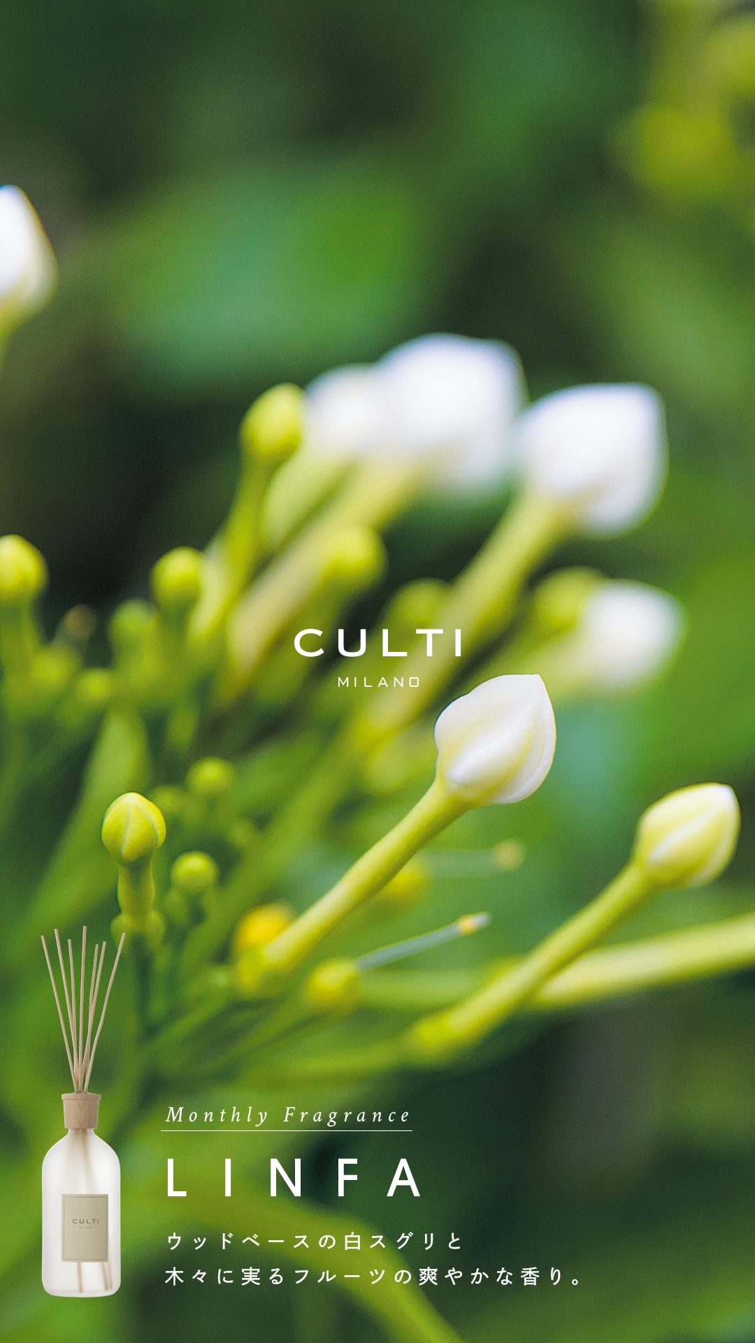 ニュース – Libretto with ACTUS | いわきの家具・インテリアショップ